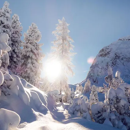 In Near Lift Hochzillertal Διαμέρισμα *