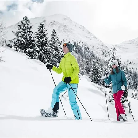 Διαμέρισμα In Near Lift Hochzillertal